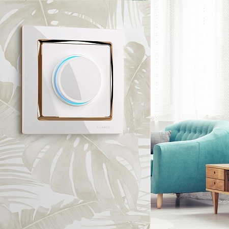 Диммер с подсветкой белый WL01-DM600-LED - фото