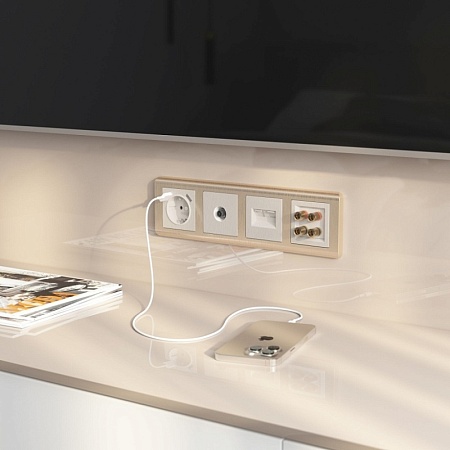 Акустическая розетка (перламутровый рифленый) WL13-AUDIOx4 - фото