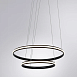 Подвесная люстра Arte Lamp MERIDIANA A2198SP-2BK - фото