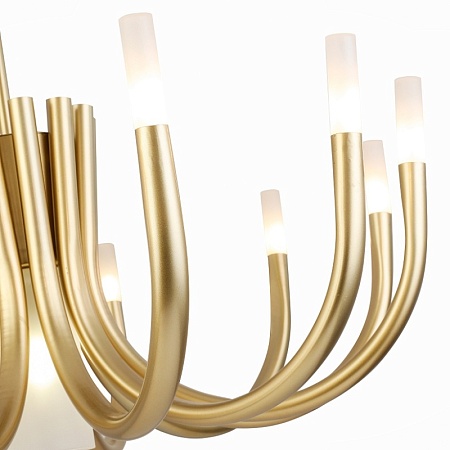 Люстра потолочная ST-Luce Золотистый/Белый G4/E27 12+1*5+60W SL1173.202.13 - фото