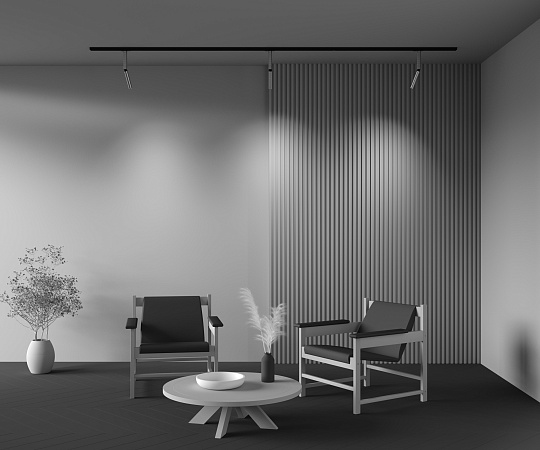 Трековый светильник Technical Focus Dual TR142-1-6W4K-BS - фото