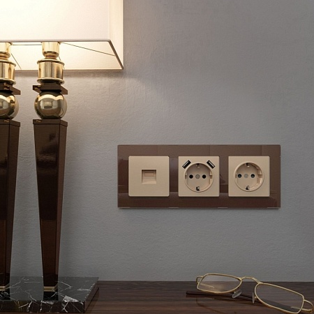 Накладка для USB розетки (шампань) W1179511 - фото