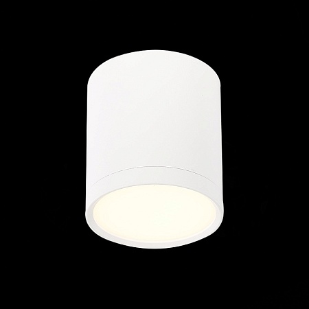Светильник потолочный Белый LED 1*5W 3000K 390Lm Ra>90 120° IP20 D68xH75 170-240V ST113.532.05 - фото