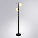 Торшер Arte Lamp ALCOR A2224PN-2BK - фото