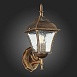 Светильник уличный настенный ST-Luce Бронза/Бронза, Прозрачный E27 1*60W SL082.201.01 - фото