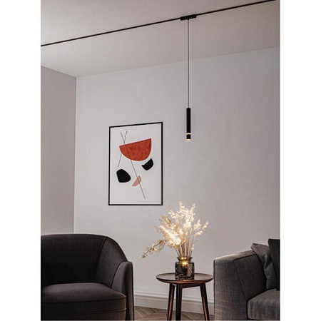 Магнитный трековый светильник Arte Lamp RAPID A6159PL-1BK - фото
