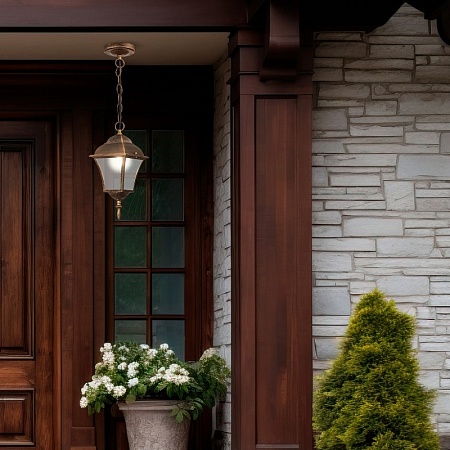 Светильник уличный настенный ST-Luce Бронза/Бронза, Прозрачный E27 1*60W SL082.211.01 - фото