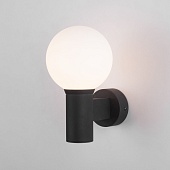 Светильник уличный настенный Sfera IP54 35126/D черный Elektrostandard