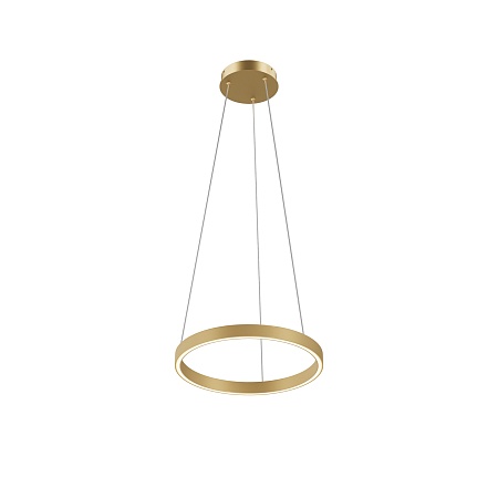 Подвесной светильник Maytoni Rim MOD058PL-L22BSK - фото