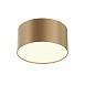 Потолочный светильник Technical Zon C032CL-12W3K-RD-MG - фото