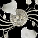 Люстра MW-Light Восторг 242014806 - фото