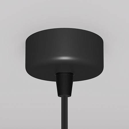 Подвесной светильник Technical Focus Design P038PL-01B - фото