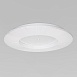 Потолочный светильник Eurosvet 101003 LED - фото