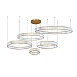Подвесная люстра Divinare RENATA 1135/17 SP-195 - фото