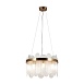 Подвесной светильник Freya Deserto FR5141PL-08BS1 - фото