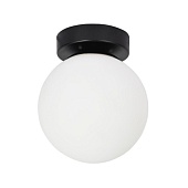 Настенно-потолочный светильник ARTE LAMP A2224PL-1BK