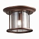 Светильник уличный потолочный ST-Luce Темный кофе/Прозрачный, Темный кофе E27 1*60W SL080.402.01 - фото