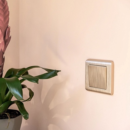 Клавиша для выключателя перекрестного (шампань рифленый) W1119010 - фото