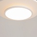 Потолочный светильник Maytoni MOD426CL-L43WK1 - фото