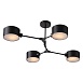 Светильник потолочный Черный/Черный E14 4*60W SLE183402-04 - фото