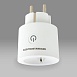 Умная розетка 76102/00 Elektrostandard - фото