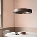 Подвесной Кольцевой Светильник Range 1 D70 Light Wood Imperiumloft 195538-26 - фото
