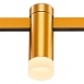 Магнитный трековый светильник FARM Золотистый LED 1*3W 3000K 93Lm Ra90 120 IP20 D29xH90 ST812.206.03 - фото