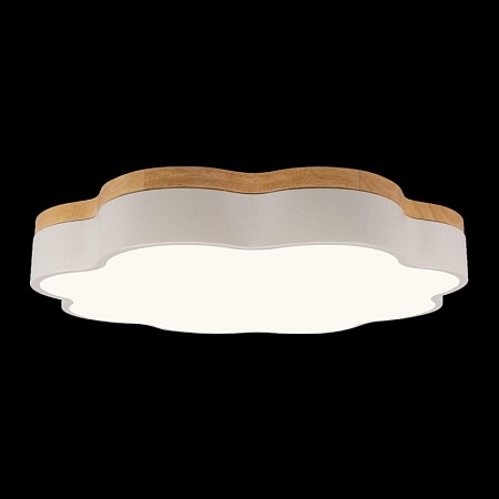 10225/36 White Потолочный светильник LOFT IT Axel - фото