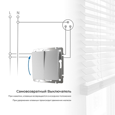 Выключатель двухклавишный с самовозвратом серебряный W1122406 - фото