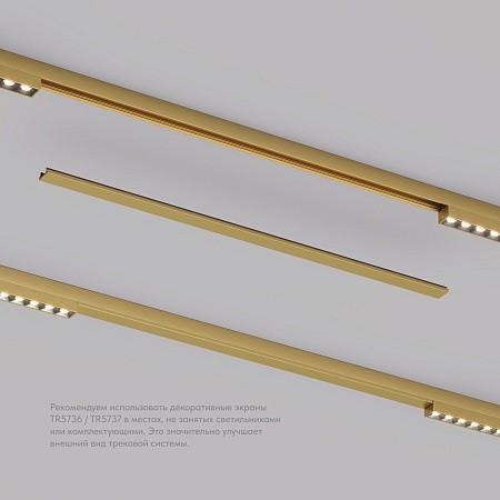TR5737-SB Декоративная заглушка желоба трека, 50см, для трека Shine, серия Base, сатинированная латунь, алюминий - фото