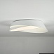 Потолочный Светильник Shell D40 White Imperiumloft 102036-26 - фото