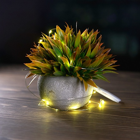 Светодиодная гирлянда Feron CL588 линейная Роса, 2700К, 2м, с питанием от батареек, прозрачный шнур - фото