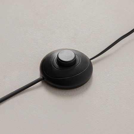 Напольный светильник (торшер) Maytoni MOD396FL-L10W3K - фото