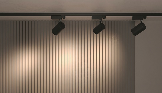 Трековый светильник Technical Vuoro TR029-3-30W3K-B - фото