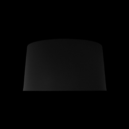 10360S Black Потолочный светильник LOFT IT Duo - фото