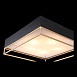 Светильник потолочный ST-Luce Черный, Матовое золото/Белый E27 5*40W SL1127.422.05 - фото