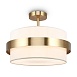 Потолочный светильник Freya Bride FR5367CL-03BS - фото