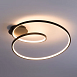 Потолочная люстра Arte Lamp MILLO A3893PL-30BK - фото