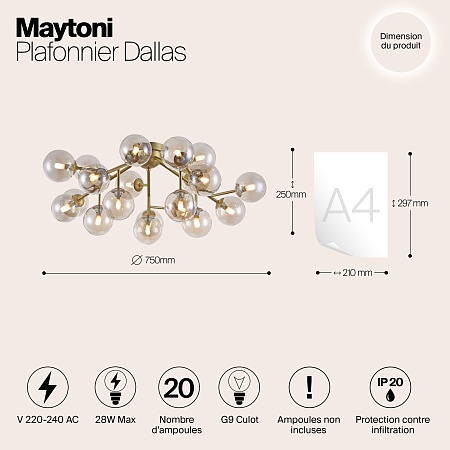 Потолочный светильник Maytoni Dallas MOD545PL-20G - фото