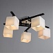 Потолочная люстра ARTE LAMP A8165PL-5BK - фото