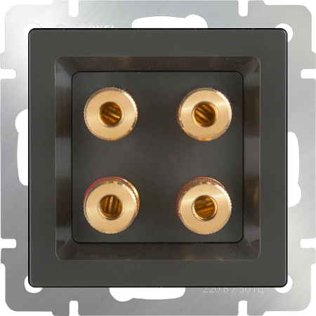 Акустическая розетка (серо-коричневый) WL07-AUDIOx4 - фото