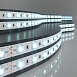 Светодиодная лента 24 В 14,4 Вт/м 60 Led/м 5050 IP20, холодный белый 6500K, 5 м Лента светодиодная 24V 14,4W 60Led 5050 IP20 холодный белый, 5м Elektrostandard - фото