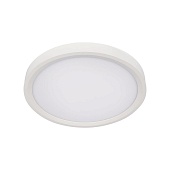 10227/24 White Потолочный светильник LOFT IT Extraslim