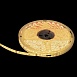 10363/12065 WW LED Светодиодная лента LOFT IT Strip 5m, 9,6W/m, 24V, 3000K, IP65 - фото