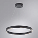 Подвесная люстра Arte Lamp LAO A2189LM-1BK - фото