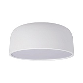 10201/350 White Потолочный светильник LOFT IT Axel