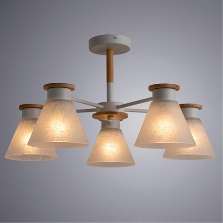 Потолочная люстра Arte Lamp TYLER A1031PL-5WH - фото