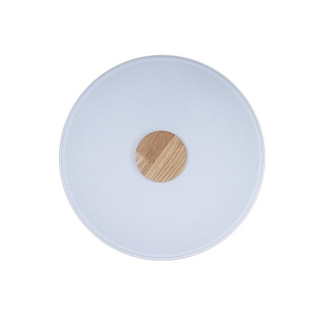 10003/24 White Потолочный светильник LOFT IT Axel - фото