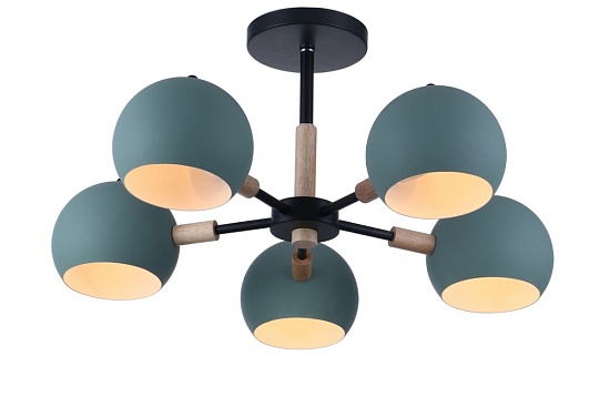 Потолочный светильник Freya Trisha FR5032CL-05B - фото