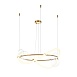 Подвесной светильник Maytoni Oasis MOD289PL-L44BS3K - фото